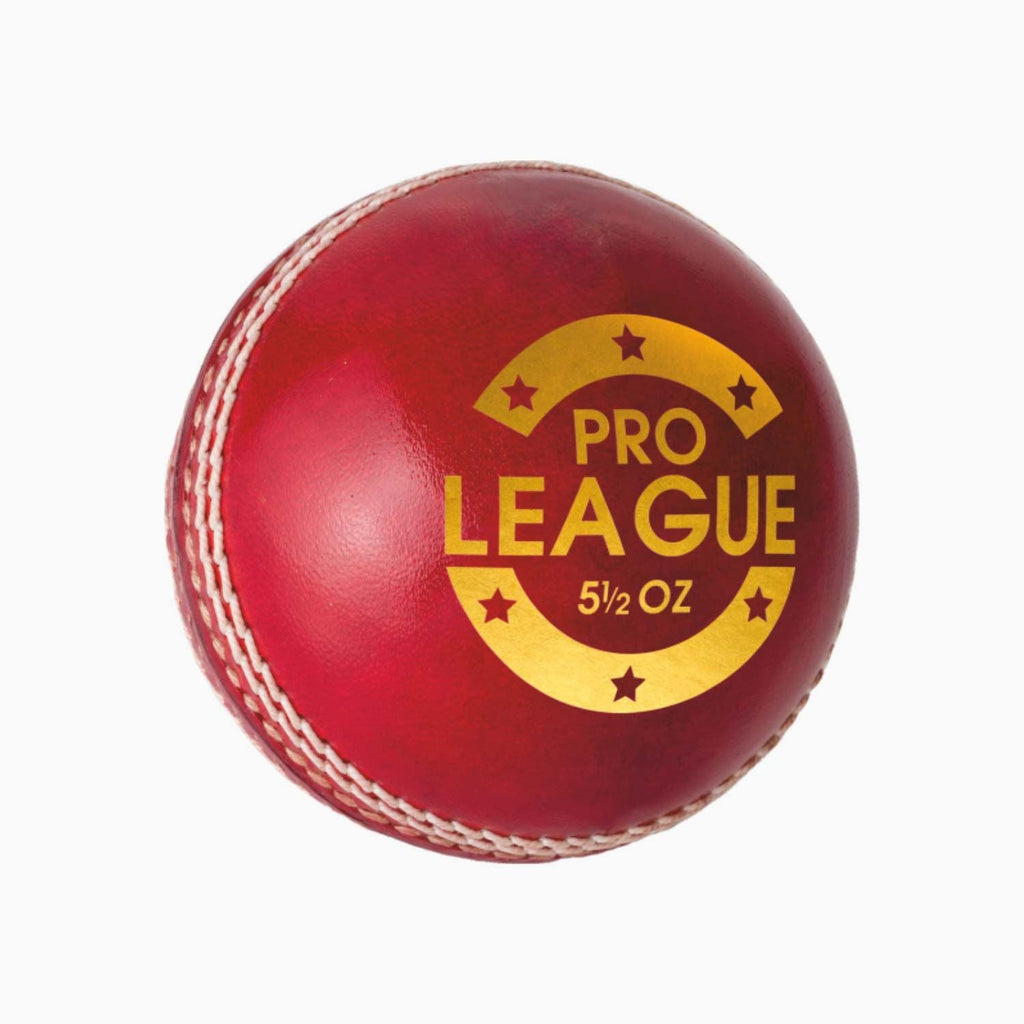DSC Pro League Leather Ball - 2 Piece - Cricket Balls - Wiz Sports