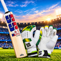 SS Boundary Hitter