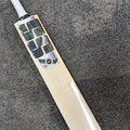 SS TON Tim David Players 2026/27 Edition English Willow Cricket Bat