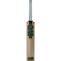 GM VERVA Signature English Willow Cricket Bat 2025