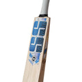 SS Hawk Premium Willow Cricket Bat – Blue Edition
