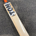 SS TON Abhishek Sharma Players 2026/27 Edition Cricket Bat - SH