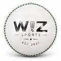 Wiz Sports Weighted Leather Cricket Training Ball – White 260g