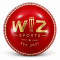 Wiz Sports Weighted Leather Cricket Training Ball – Red 260g