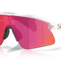 OAKLEY STUNT DEVIL (MATTE CLEAR)