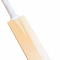 ARMOUR Players Grade English Willow Cricket Bat – AB de Villiers Profile | Elite 360° Duckbill Edition