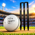 Club Practice Pack - SG Stumps & 4 Kookaburra Renown Balls