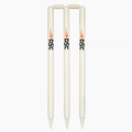 DSC Bleached & Polished Cricket Stump Set – Full Size Match Stumps