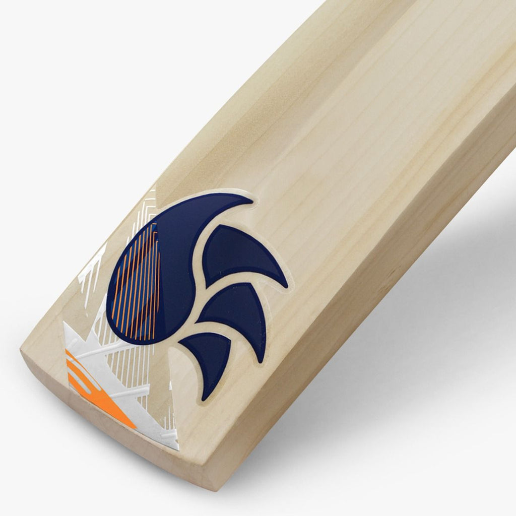 DSC KRUNCH Bull 31 David Warner Players English Willow Cricket Bat 2024 Edition - Cricket Bats - Wiz Sports