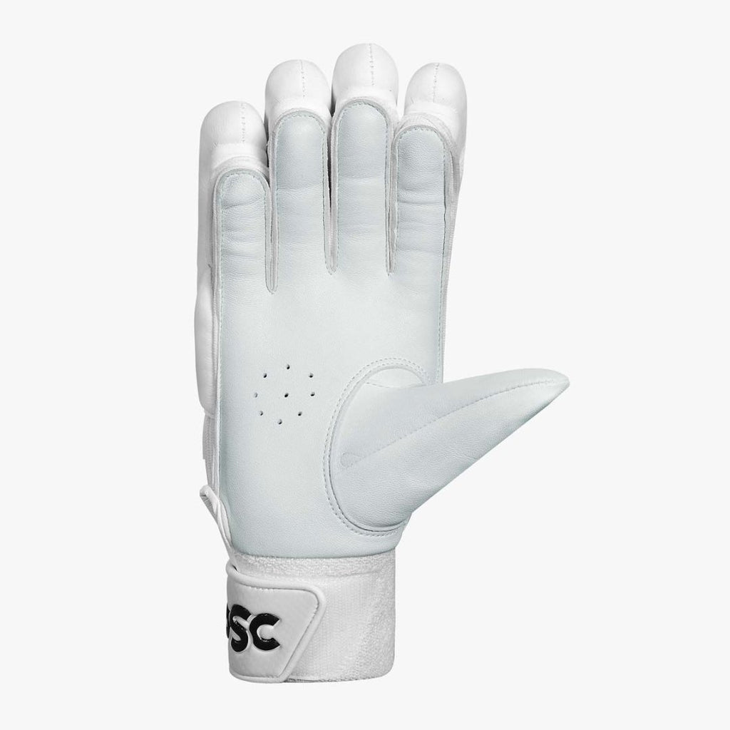 DSC Krunch The Bull 31 Batting Gloves - David Warner Players Glove - Cricket Gloves - Wiz Sports