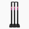 DSC Plastic Stump Set