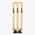 DSC Stump set with Iron spring base - Heavy Duty  (2026 Stock)