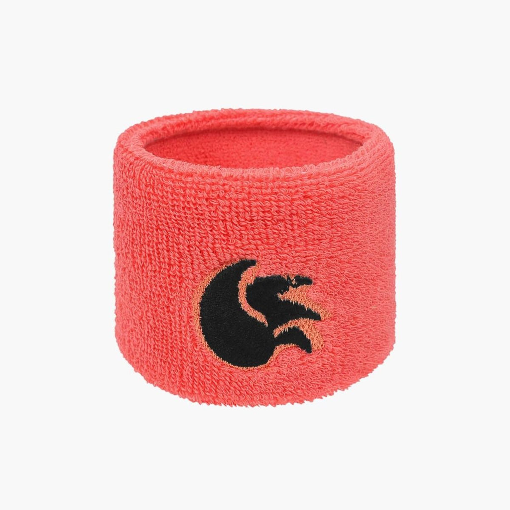 DSC Wristband 2.5 inch (Pack of 2) - Apparel - Wiz Sports