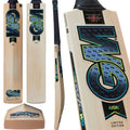 GM Aion DXM 404 Cricket Bat