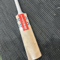 Gray-Nicolls English Willow Cloud Catch Bat