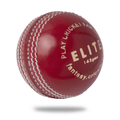 Gray Nicolls GN CREST Elite 2 PCE Red - 142 Gms