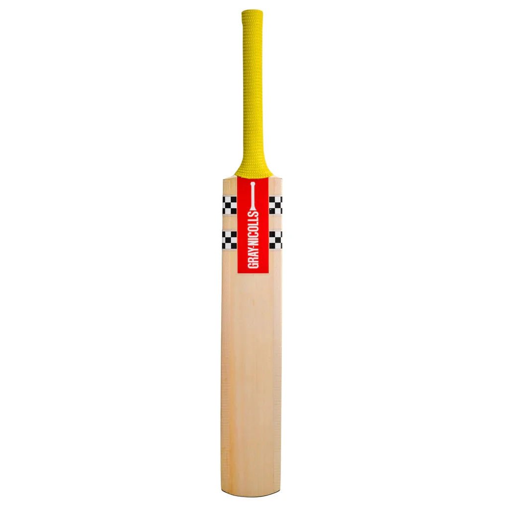 GRAY-NICOLLS (RPlay) KASHMIR WILLOW CRICKET BAT - 2024 edition - Cricket Bats - Wiz Sports