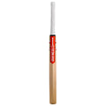 Gray-Nicolls Technique 55 Kashmir Willow Training Bat 2026 edition