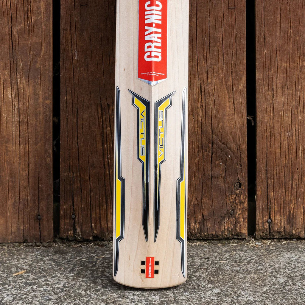 Gray Nicolls Victus 1000 English Willow Cricket Bat - SH - Cricket Bats - Wiz Sports