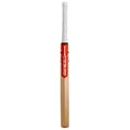 Gray-Nicolls Technique 55 Kashmir Willow Training Bat 2026 edition