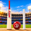 Match Ball Bat Pack