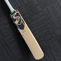 SG HP 33 Player Grade English Willow Cricket Bat 2026 IPL edition
