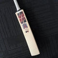 SS Devils RED PRO 1.0 Selected Grade 1 English Willow Cricket