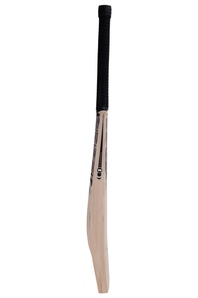 SS Premium Silver Kashmir Willow Cricket Bat – Grade 2 (Short Handle) - Cricket Bat - Wiz Sports