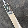 SS TON Tim David Players 2026/27 Edition English Willow Cricket Bat