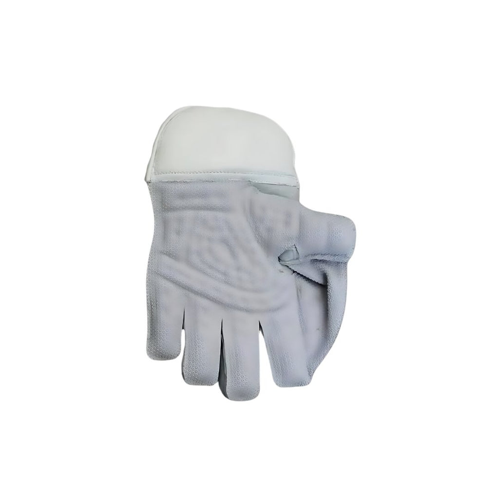 SS Wicket Keeping Gloves Aerolite - Cricket Gloves - Wiz Sports