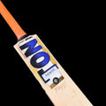 TON Phil Salt Players Pro Cricket Bat – Players Grade English Willow (2026 Edition)
