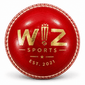 Wiz Sports Dual Colour Cricket Training Ball – Red/White 142g