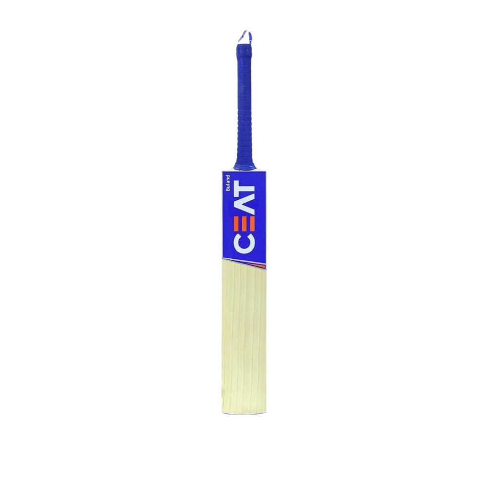 CEAT Buland English Willow Cricket Bat - Cricket Bats - Wiz Sports