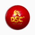 DSC Match Grade 4 Piece Leather Cricket Ball