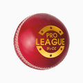DSC Pro League Leather Ball - 2 Piece