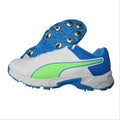 Puma 19.2 Spike Cricket Shoes Puma White Nrgy Blue Green