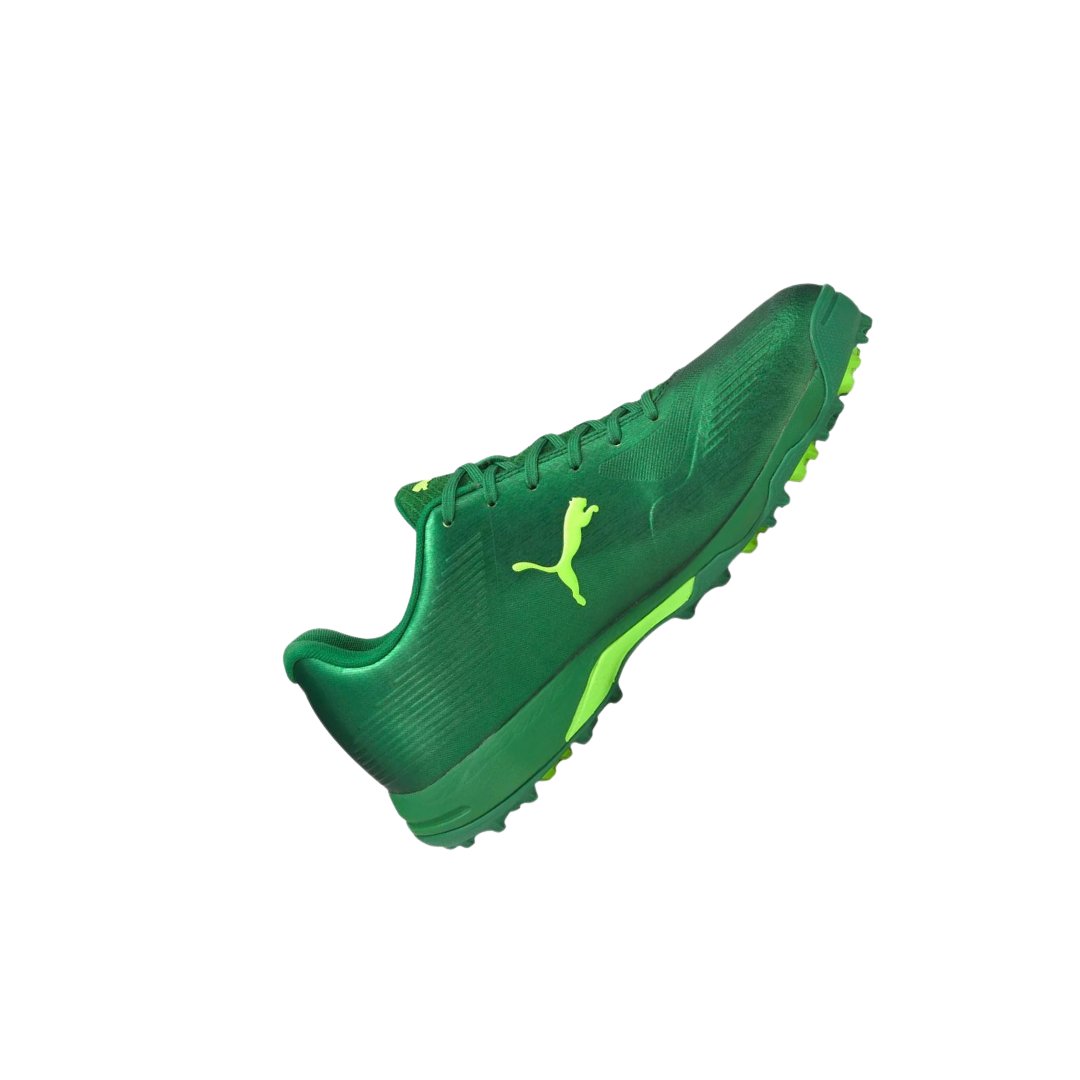 puma new cricket shoes