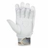 SG HP-33 Cricket Batting Gloves – Hardik Pandya Players Gloves - Cricket Gloves - Wiz Sports